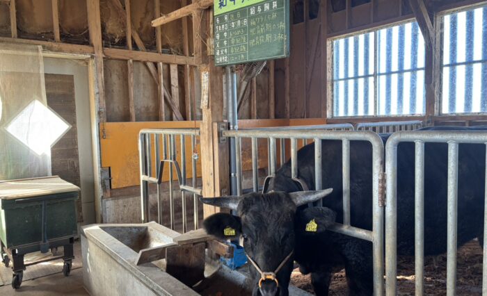 1761707990798 1761707990798