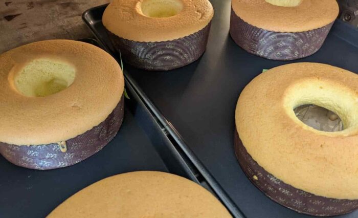 IMG_8583 (1) IMG_8583 (1)