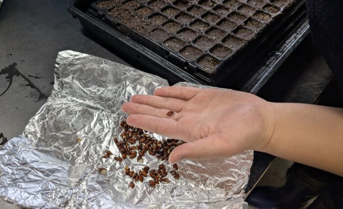 PXL_20260109_070259120