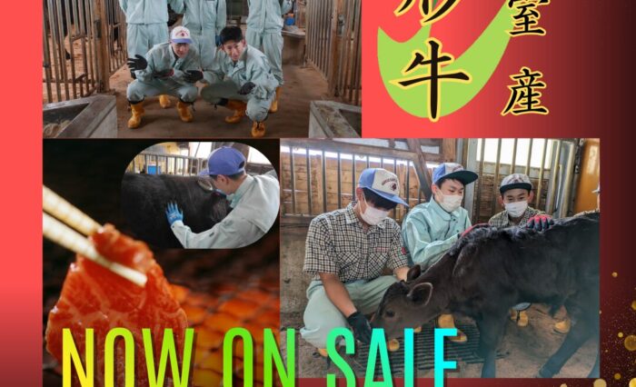 Gold and White Peaceful Buddha Purnima Instagram Post (4)