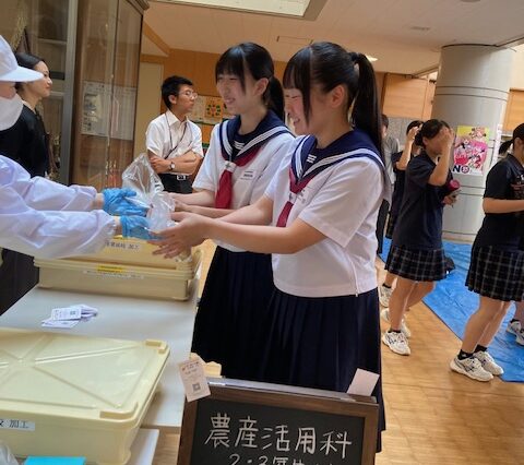image7 image7